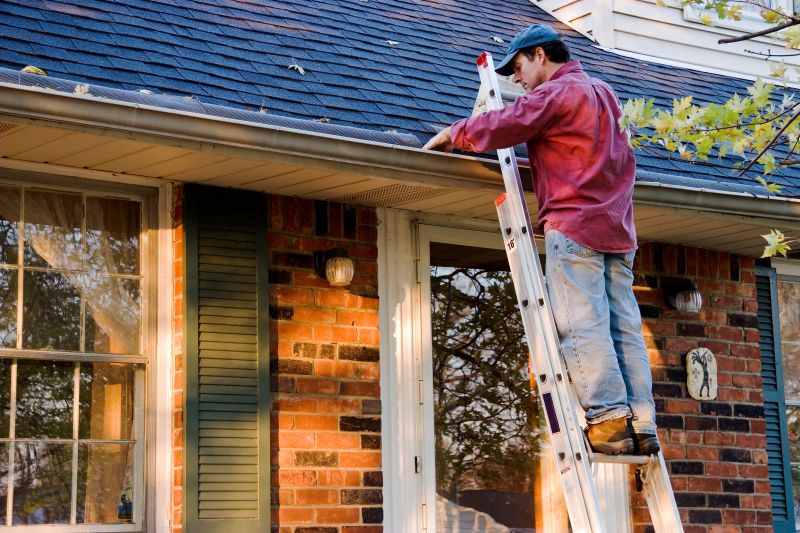 Gutter Extension Service