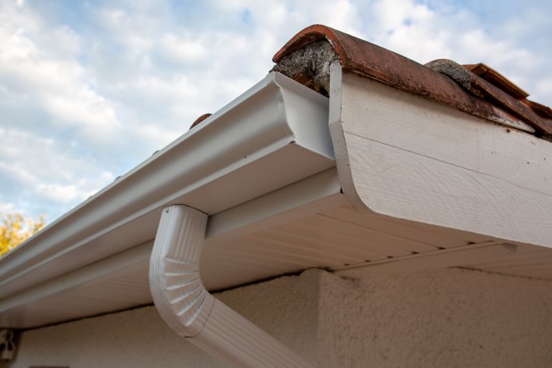 Gutter System Inspection